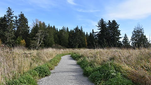 Colebrook Park
