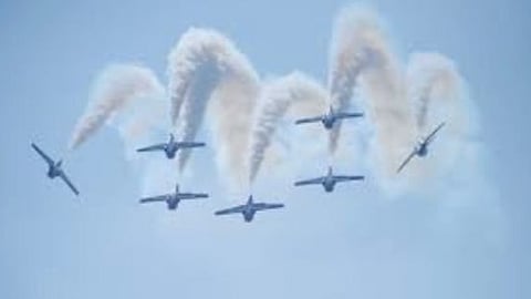 Snowbirds