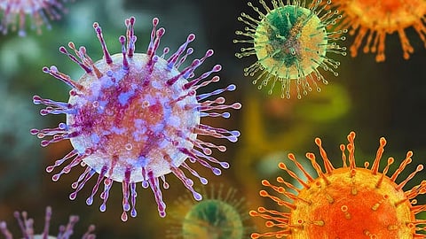 Hantavirus