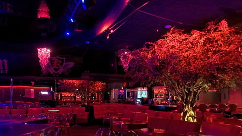 Montreal Strip Club Cabaret Kingdom