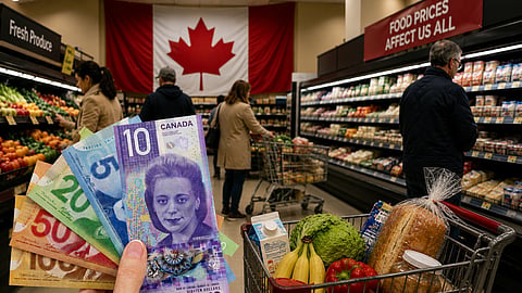 Grocery shopping Canada