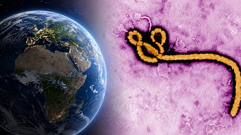 Ebola cases globally