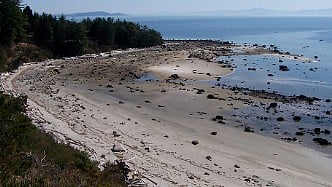 Savary Island