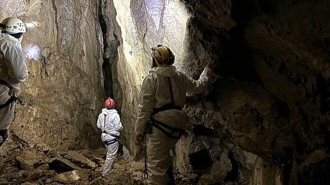 Parks Canada staff survey a bat colony in a Jasper National Park cave.