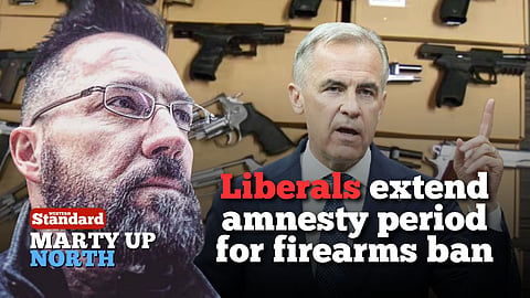 Liberals extend amnesty period for firearms ban