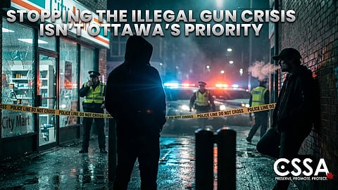Illegal Gun Crisis