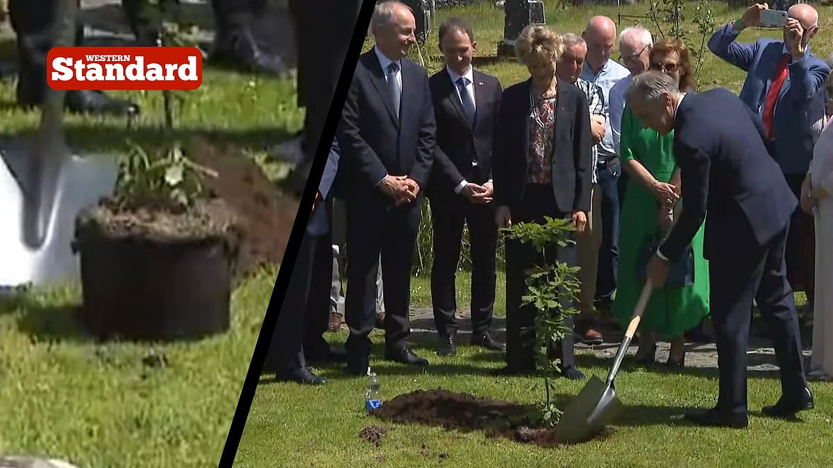 BROWN: Life imitates art &mdash; Carney&rsquo;s &lsquo;gardener&rsquo; gaffe