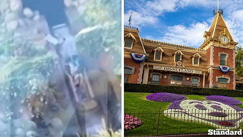 A 13-year-old boy was hospitalized after exiting a ride vehicle and falling down a 50-foot drop on Disneyland's Tiana's Bayou Adventure, formerly known as Splash Mountain.