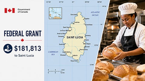 The feds are spending over $180,000 on a baking apprenticeship for youth in Saint Lucia, which was announced quietly on their website.