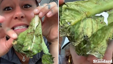 Bad lettuce