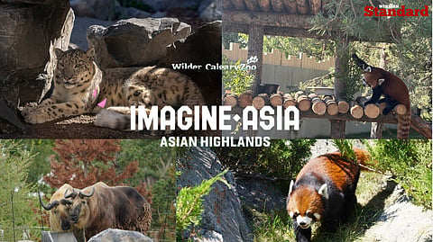Calgary Zoo Asian Highlands