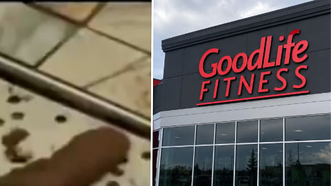 'ABSOLUTELY DISGUSTING': Viral post alleges people defecating in Regina GoodLife Fitness showers