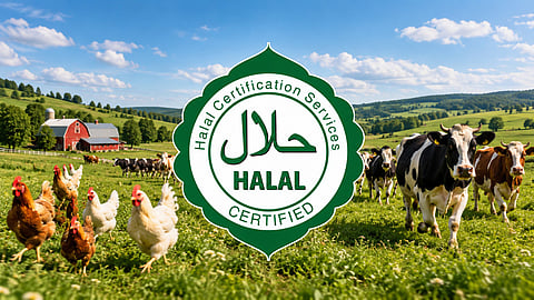 Halal certified