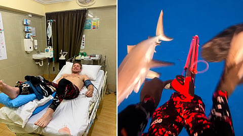WATCH: Grey reef shark attacks New Zealand diver while spearfishing in Fiji
