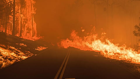 Flames line both sides of a road as the Bradley Creek wildfire advances near Vernon on the night of August 1, 2026.