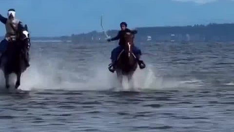 Still from circulating video.