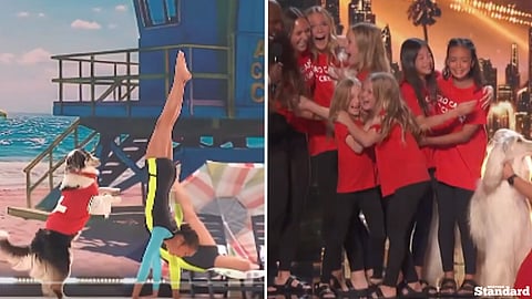 Edmonton’s Acro Canine Crew is officially moving on to the semifinals of America’s Got Talent.