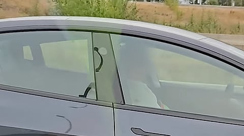 Tesla driver accused of sleeping behind wheel diverts BC police from priority call