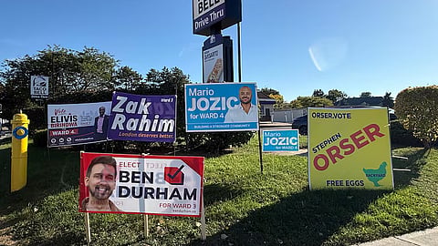 A group of election signs