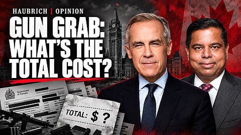 Gun grab costs