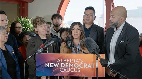 Alberta NDP deputy leader Rakhi Pancholi and other Alberta NDP MLAs speaking to reporters about safety in Edmonton's Chinatown. 