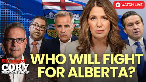 Who will fight for Alberta?