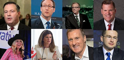 Top 10 Replacements for Scheer
