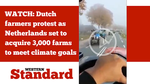 WATCH: Dutch farmers protest as Netherlands set to acquire 3,000 farms to meet climate goals