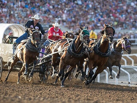 Calgary on lockdown til end of June; Stampede’s fate still uncertain