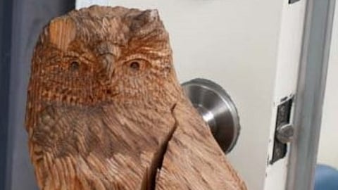 BC RCMP seek suspect in totem pole theft on Kwikwetlem First Nation