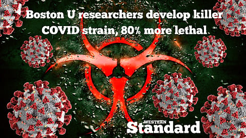 Boston U researchers develop killer COVID strain, 80% more lethal