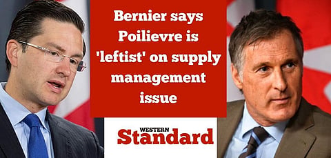 Bernier says Poilievre is ‘leftist’ on supply management issue