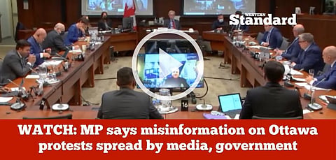 WATCH: MP says misinformation on Ottawa protests spread by media, government