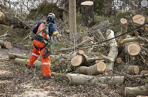 Federal government announces $300 million recovery fund for Atlantic Canada