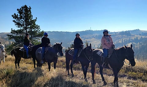 OLDCORN: What Western Canada can learn from my Montana trip