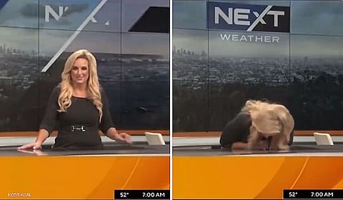 WATCH: US meteorologist collapses live on TV