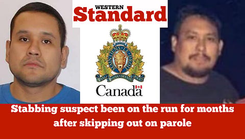 Stabbing suspect's been on the run for months after skipping out on parole