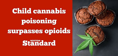 Child cannabis poisoning surpasses opioids