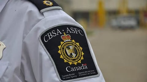 Federal Court judge delays deportation over gender-neutral pronouns