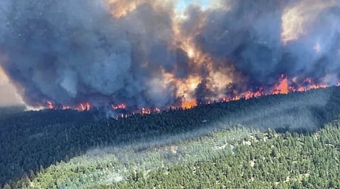 Wildfires