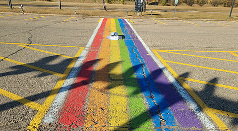 Severed pig head left on Pride sidewalk at Alberta school being investigated as a hate crime