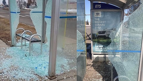 Edmonton spent more than $70,000 on smashed transit glass