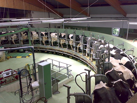 Dairy prices to rise again in February