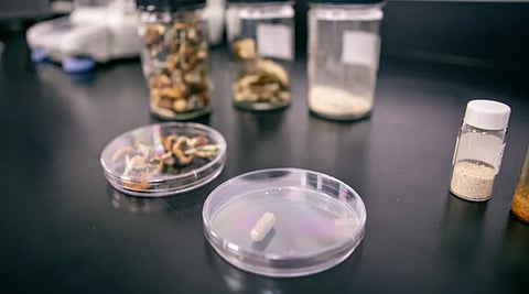 Legal psychedelics expected to become $500-billion market by 2030