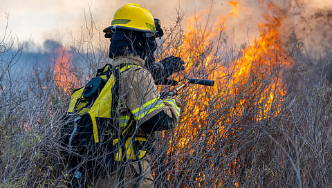 Firefighter in West Kelowna will become Canadian citizen behind the front line via Zoom