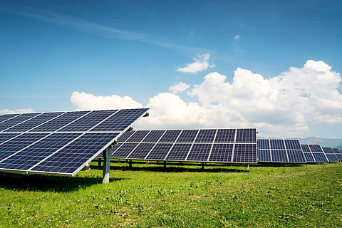 Alberta slams brakes on permits for renewable energy developments