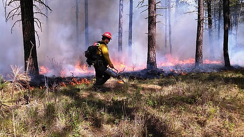 ALL SMOKE: Feds play up link between forest fires and climate change