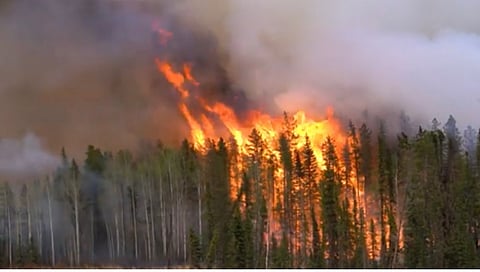 Peace River RCMP investigate multiple suspicious fires