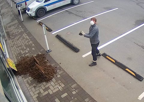 WATCH: BC protesters hurl manure at Horgan's constituency office