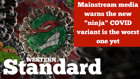 Mainstream media warns the new "ninja" COVID variant is the worst one yet
